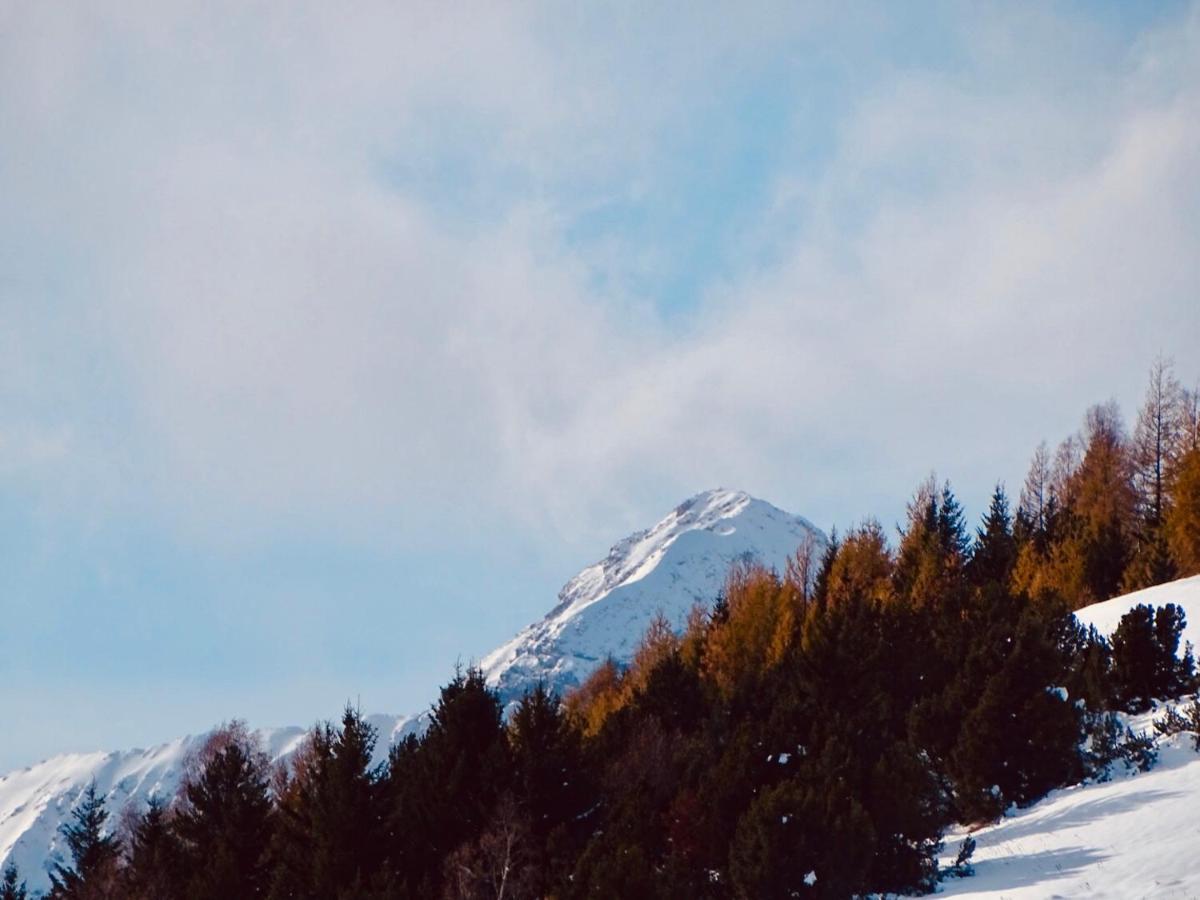 レ・デュー・アルプL'Ansloboys Montagne A2アパートメント エクステリア 写真